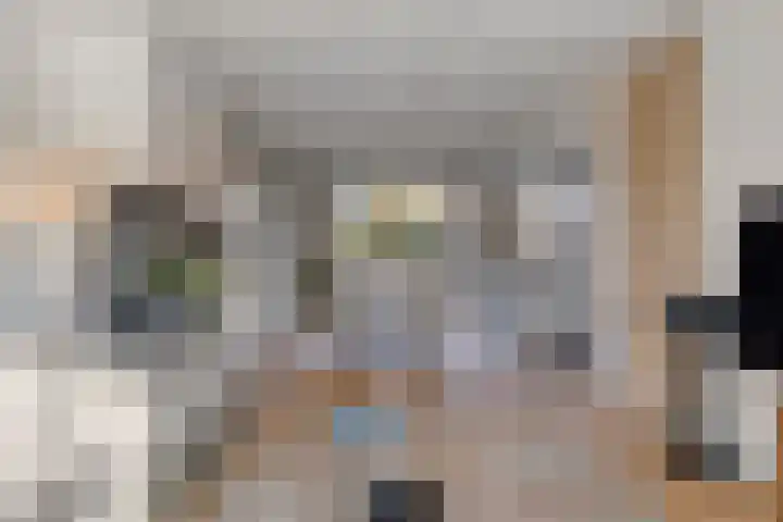 Bowierstraat 14 's-Hertogenbosch thumbnail 5