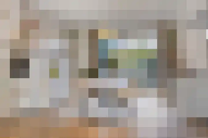 Bowierstraat 14 's-Hertogenbosch thumbnail 7