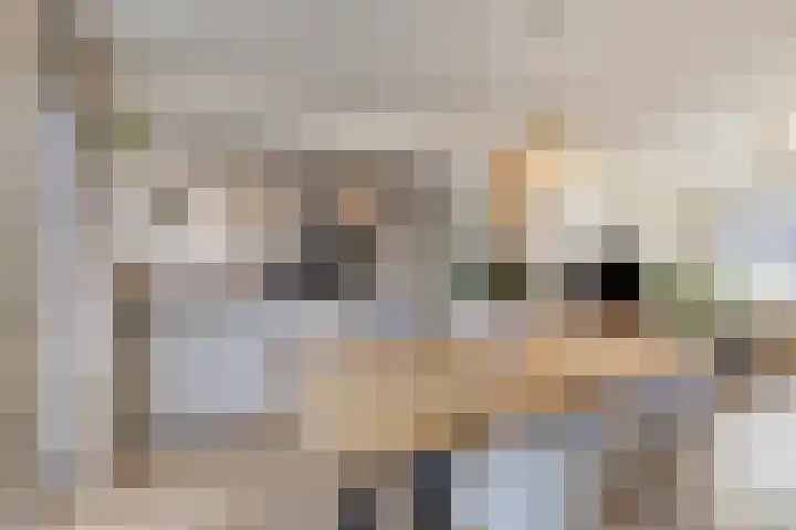 Bowierstraat 14 's-Hertogenbosch thumbnail 9