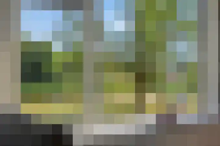Bowierstraat 37 's-Hertogenbosch thumbnail 4