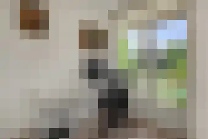 Bowierstraat 37 's-Hertogenbosch thumbnail 7