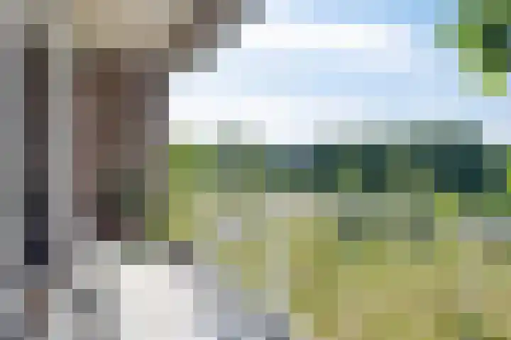 Bowierstraat 55 's-Hertogenbosch thumbnail 10
