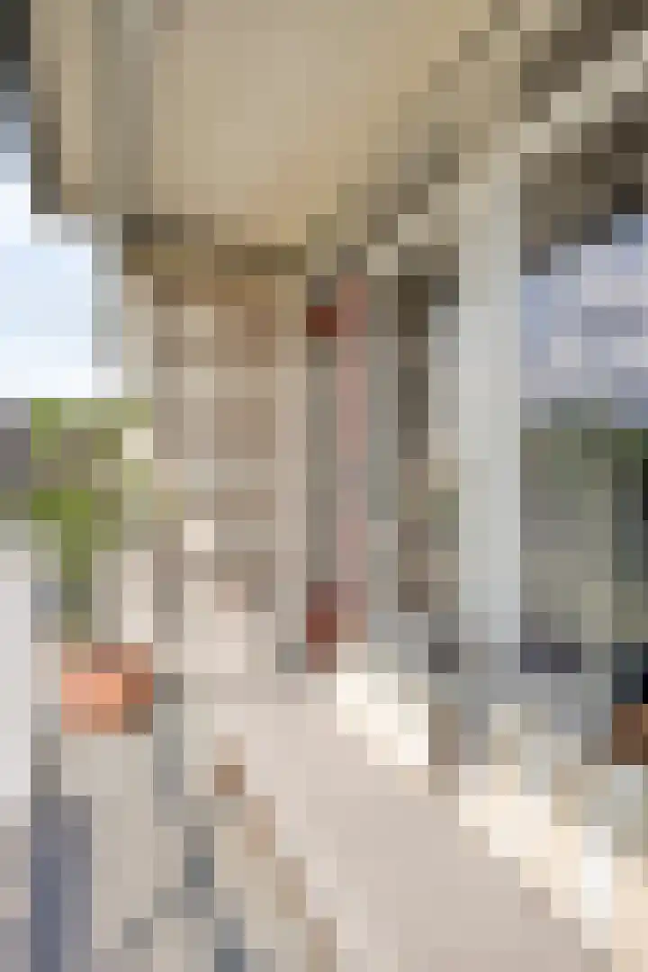 Bowierstraat 55 's-Hertogenbosch thumbnail 11