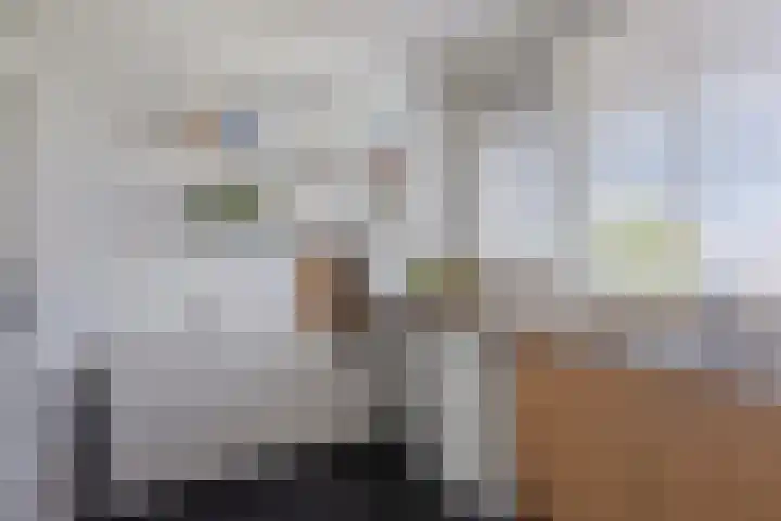 Bowierstraat 55 's-Hertogenbosch thumbnail 15
