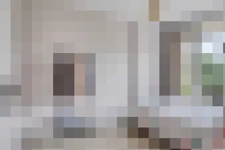 Bowierstraat 55 's-Hertogenbosch thumbnail 17
