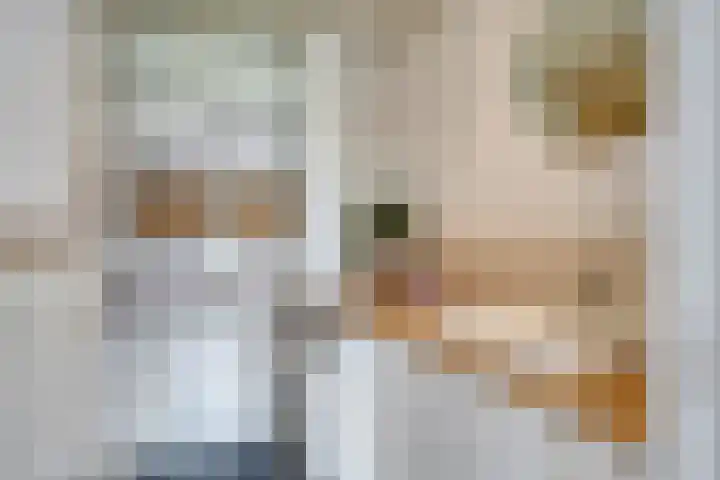 Bowierstraat 55 's-Hertogenbosch thumbnail 19