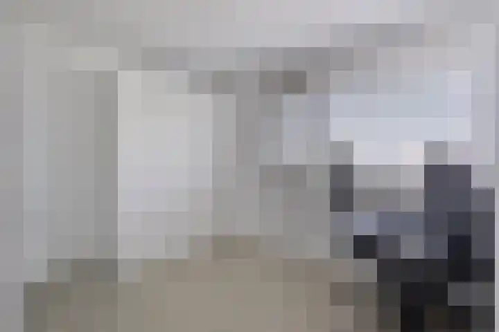 Bowierstraat 55 's-Hertogenbosch thumbnail 21