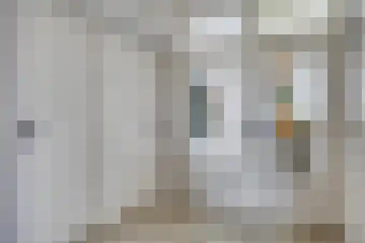 Bowierstraat 55 's-Hertogenbosch thumbnail 23