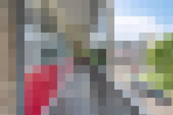 Bowierstraat 55 's-Hertogenbosch thumbnail 25