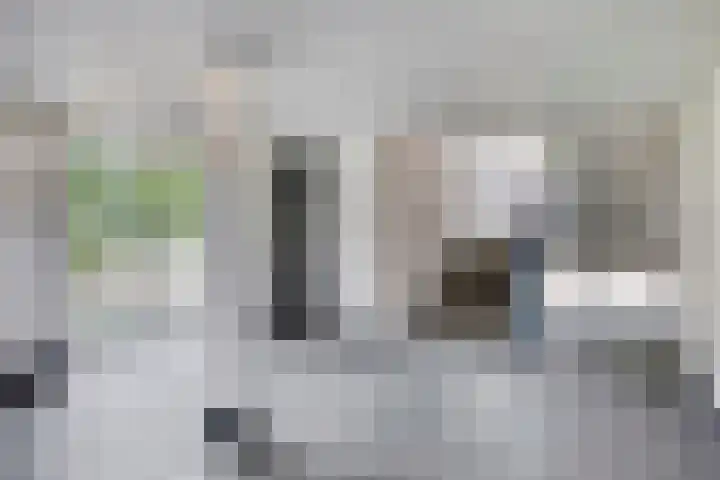 Bowierstraat 55 's-Hertogenbosch thumbnail 26
