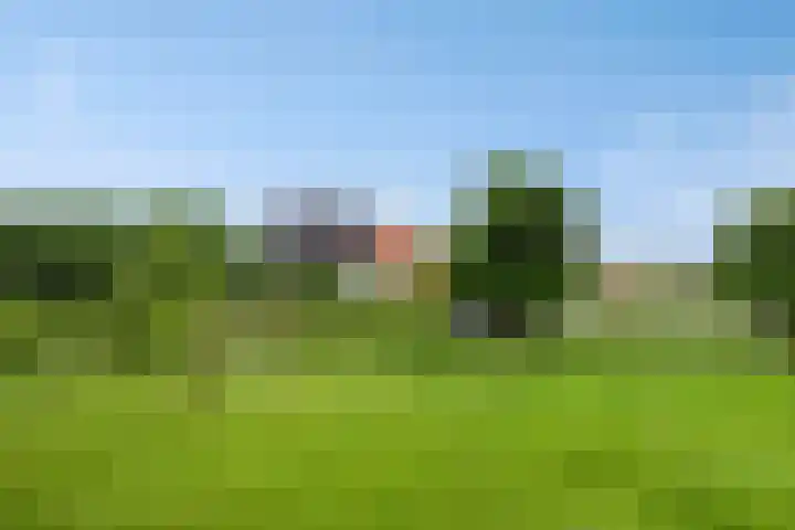 Bowierstraat 55 's-Hertogenbosch thumbnail 31