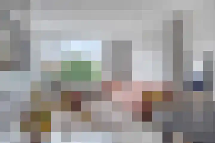 Bowierstraat 55 's-Hertogenbosch thumbnail 4
