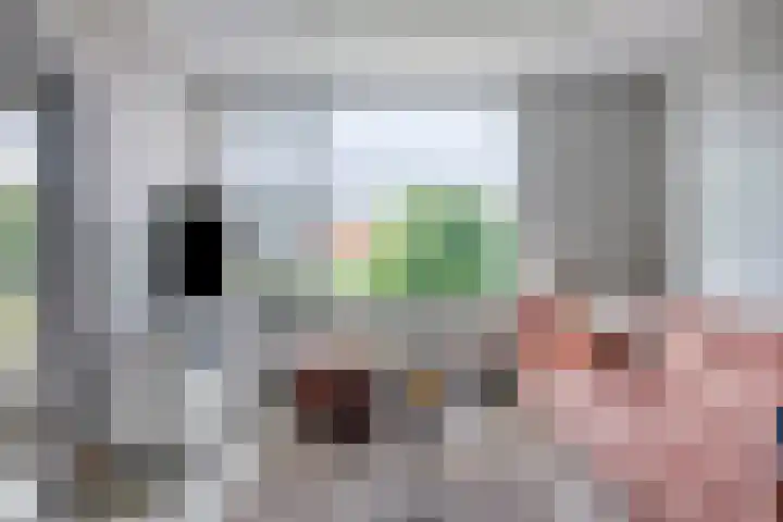 Bowierstraat 55 's-Hertogenbosch thumbnail 5
