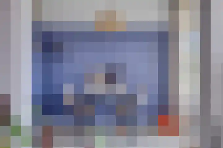 Bowierstraat 55 's-Hertogenbosch thumbnail 8