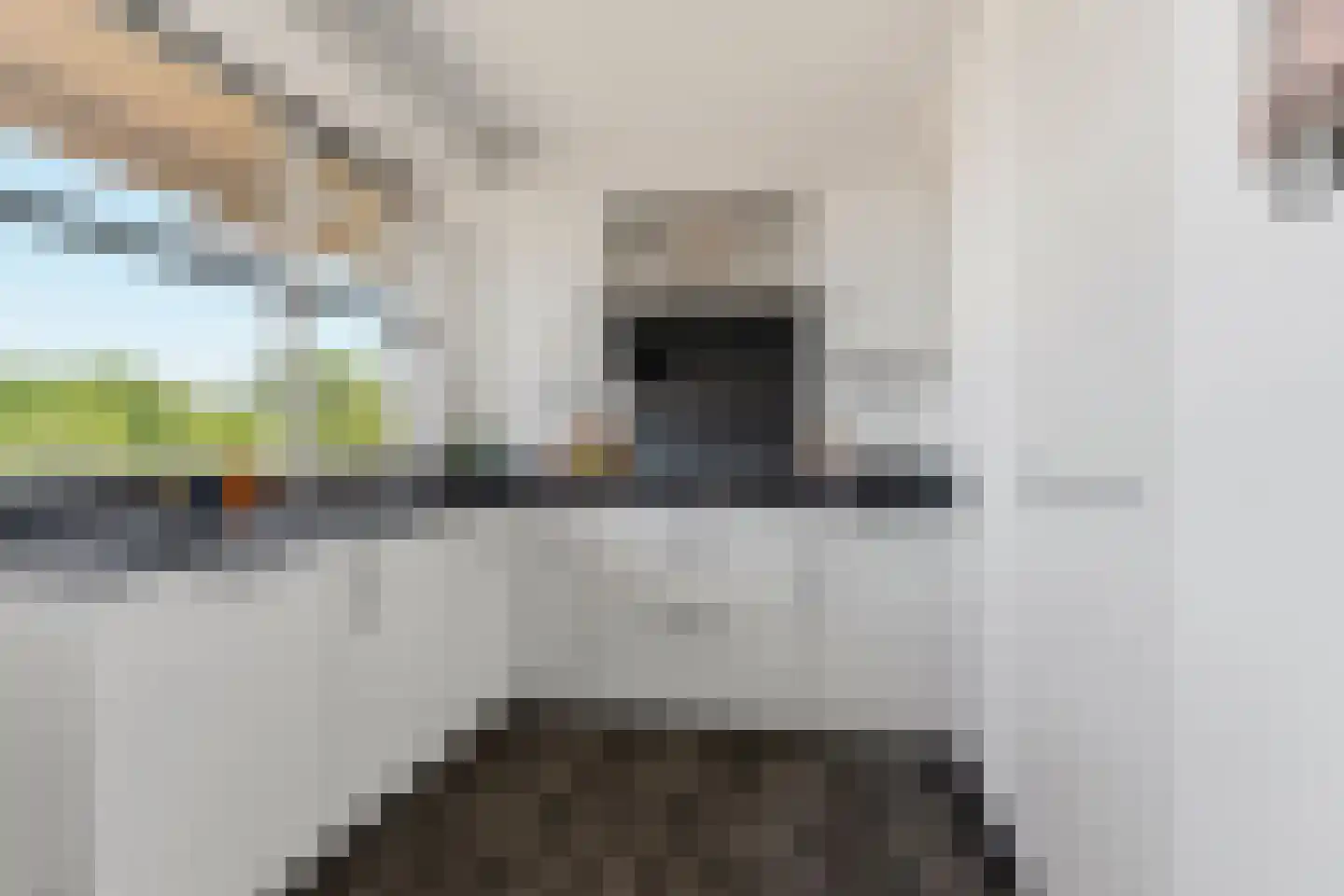 Bowierstraat 69 's-Hertogenbosch thumbnail 12