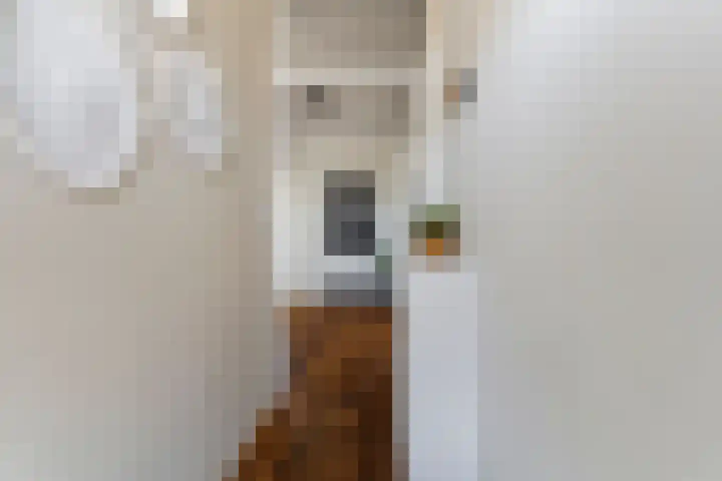 Bowierstraat 69 's-Hertogenbosch thumbnail 31