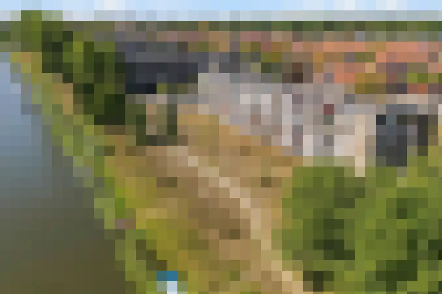 Bowierstraat 69 's-Hertogenbosch thumbnail 37