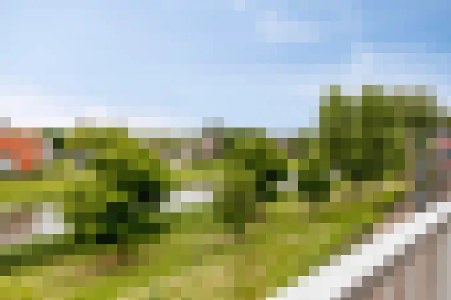 Bowierstraat 87 's-Hertogenbosch thumbnail 25