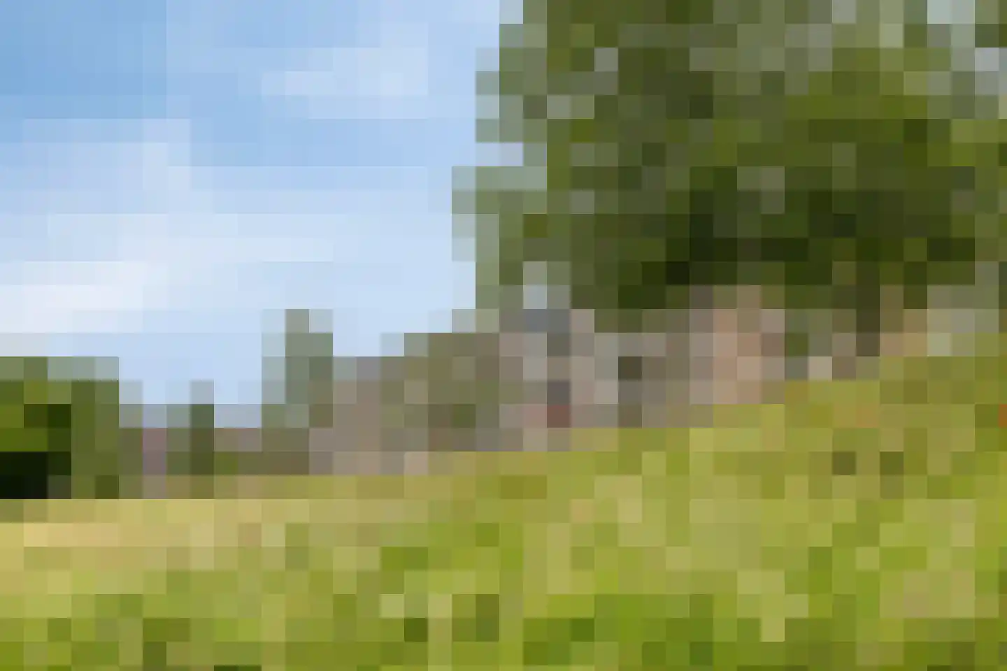 Bowierstraat 87 's-Hertogenbosch thumbnail 36
