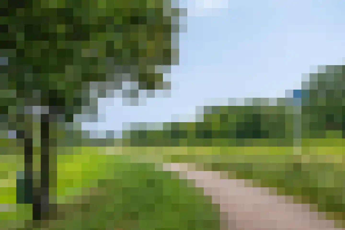 Bowierstraat 87 's-Hertogenbosch thumbnail 37