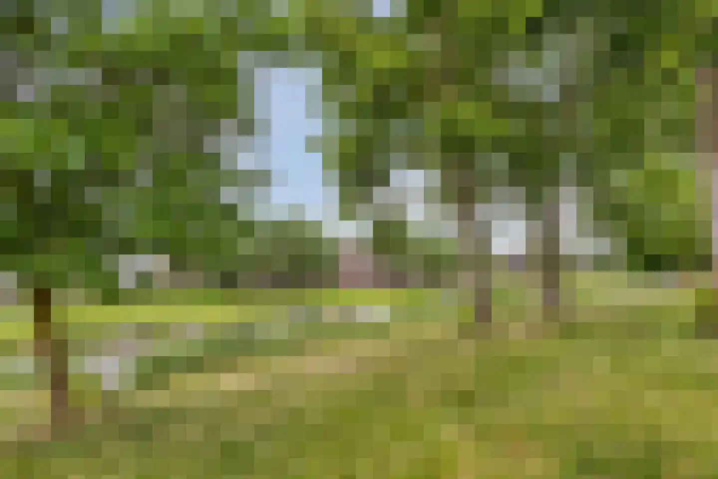 Bowierstraat 87 's-Hertogenbosch thumbnail 38