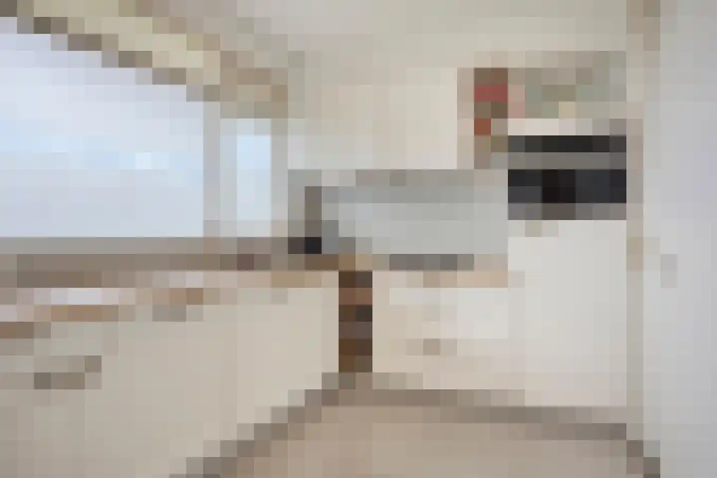 Bowierstraat 87 's-Hertogenbosch thumbnail 4