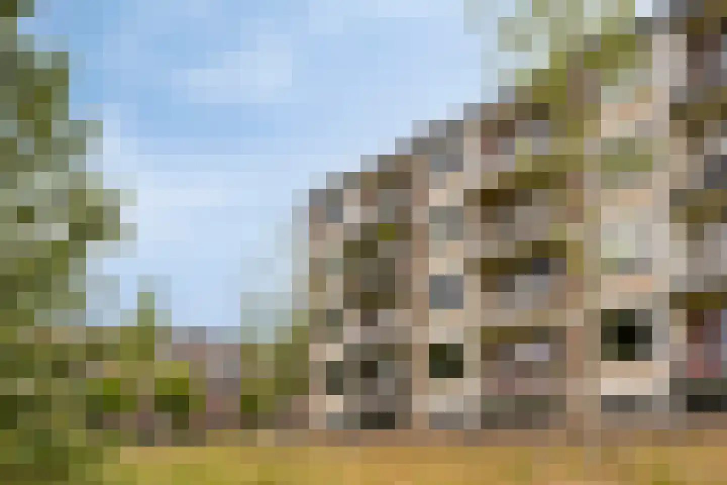 Bowierstraat 87 's-Hertogenbosch thumbnail 5