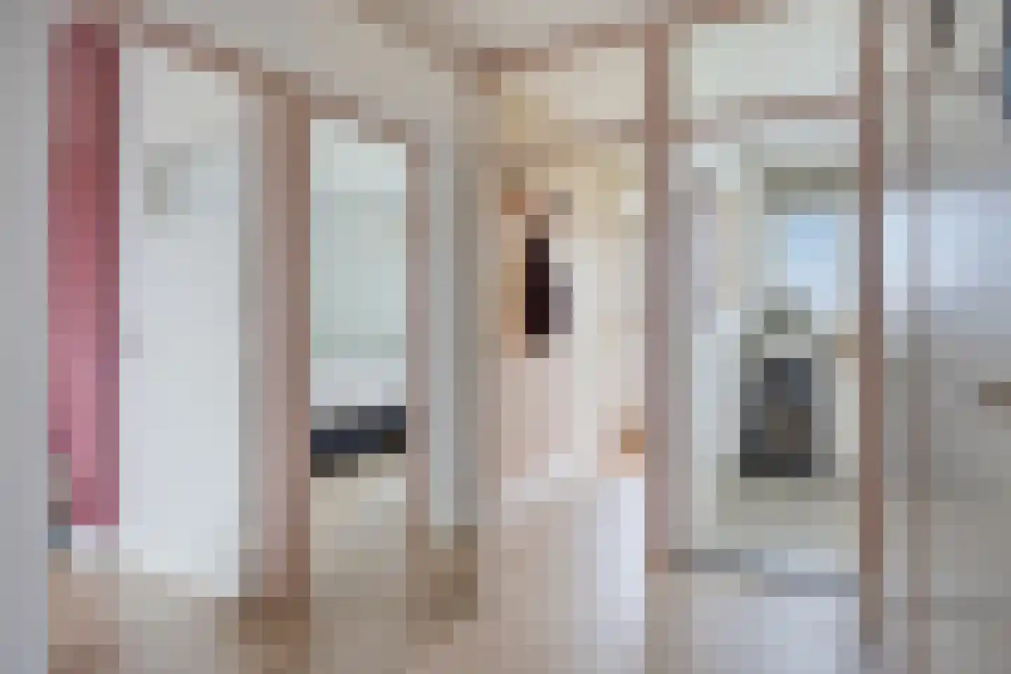 Bowierstraat 87 's-Hertogenbosch thumbnail 8