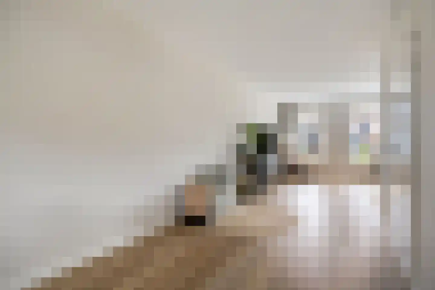 Boxbergen 13 Losser thumbnail 10