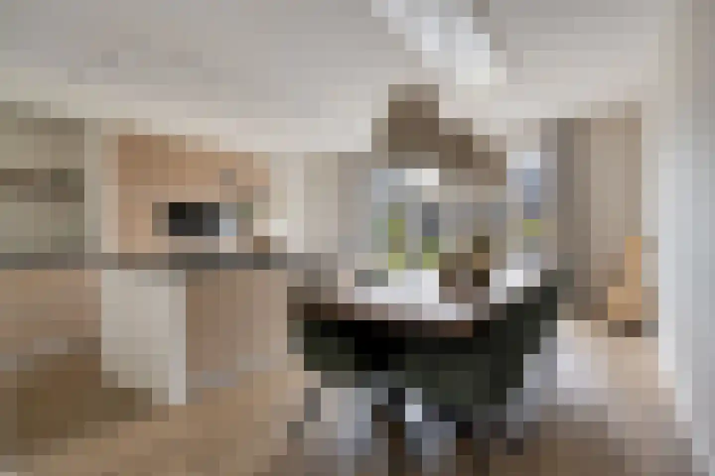Boxbergen 13 Losser thumbnail 11