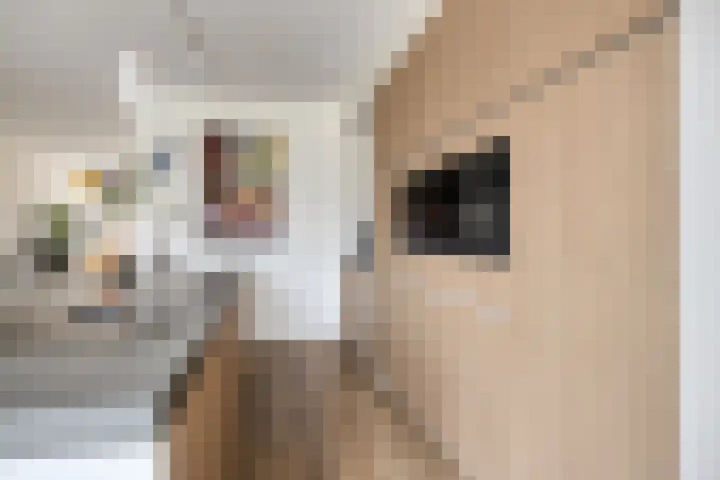Boxbergen 13 Losser thumbnail 18