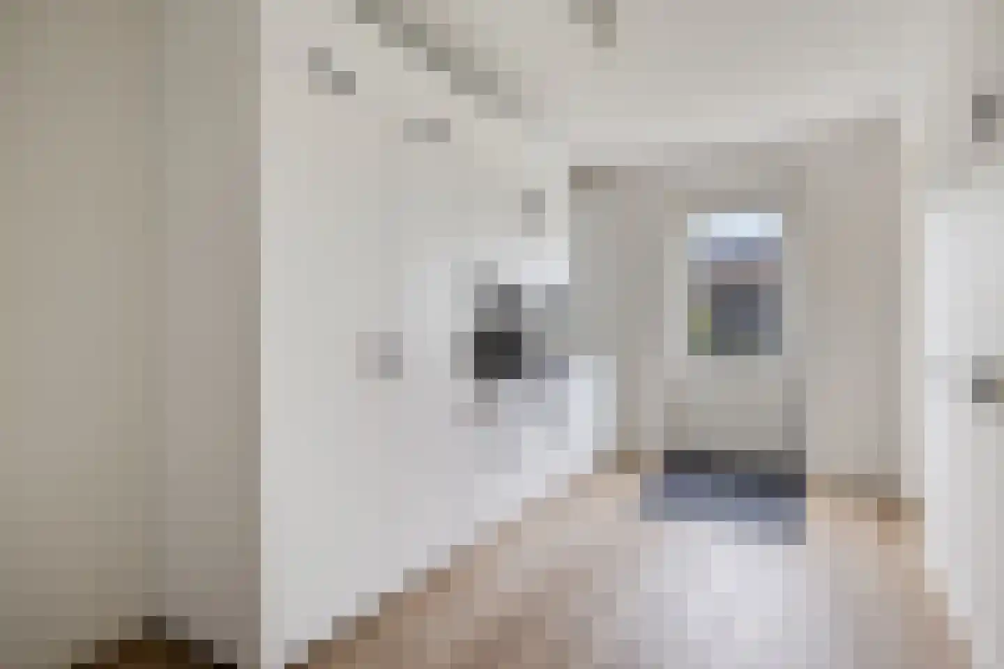Boxbergen 13 Losser thumbnail 23