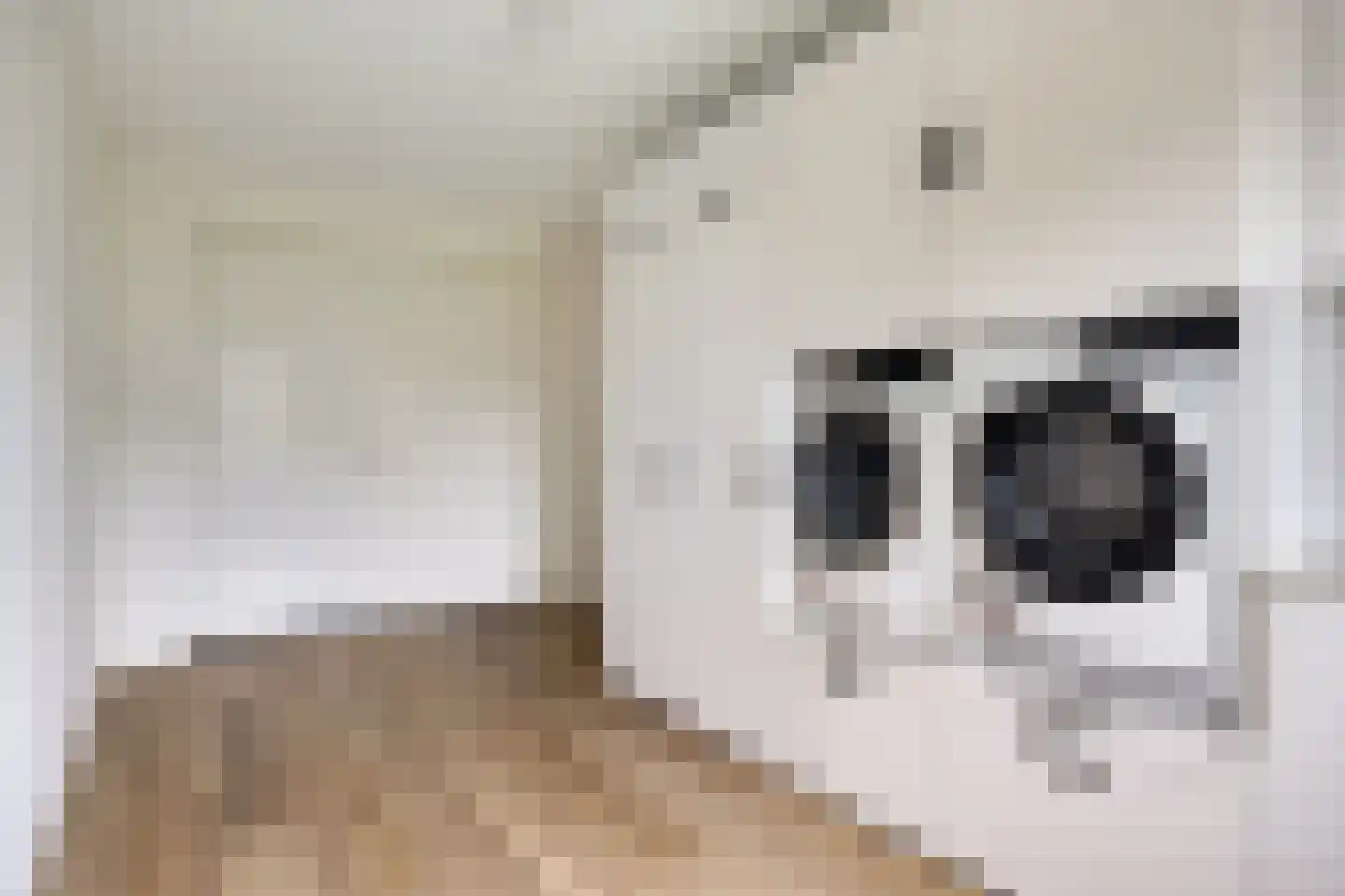Boxbergen 13 Losser thumbnail 24