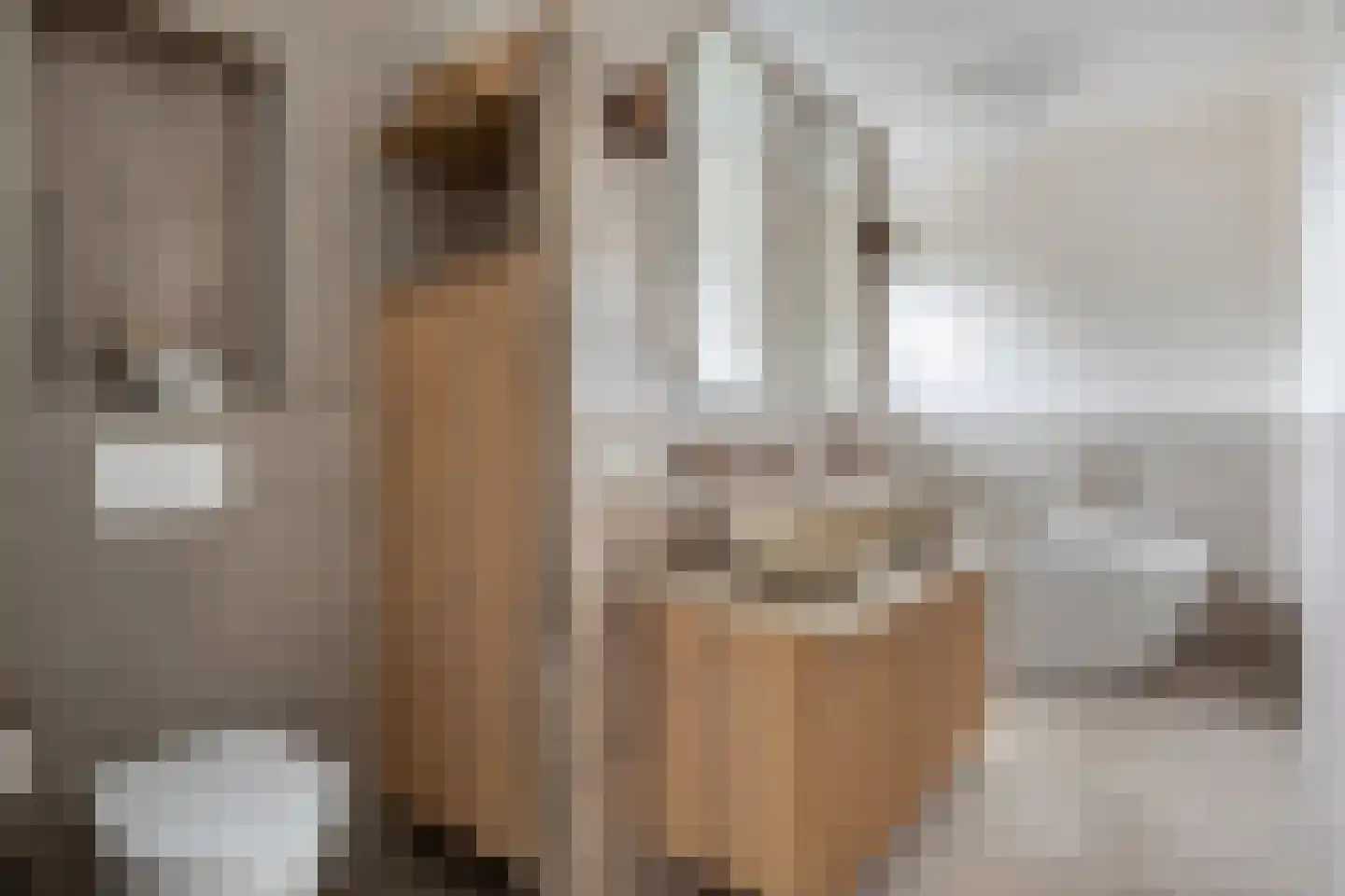 Boxbergen 13 Losser thumbnail 29