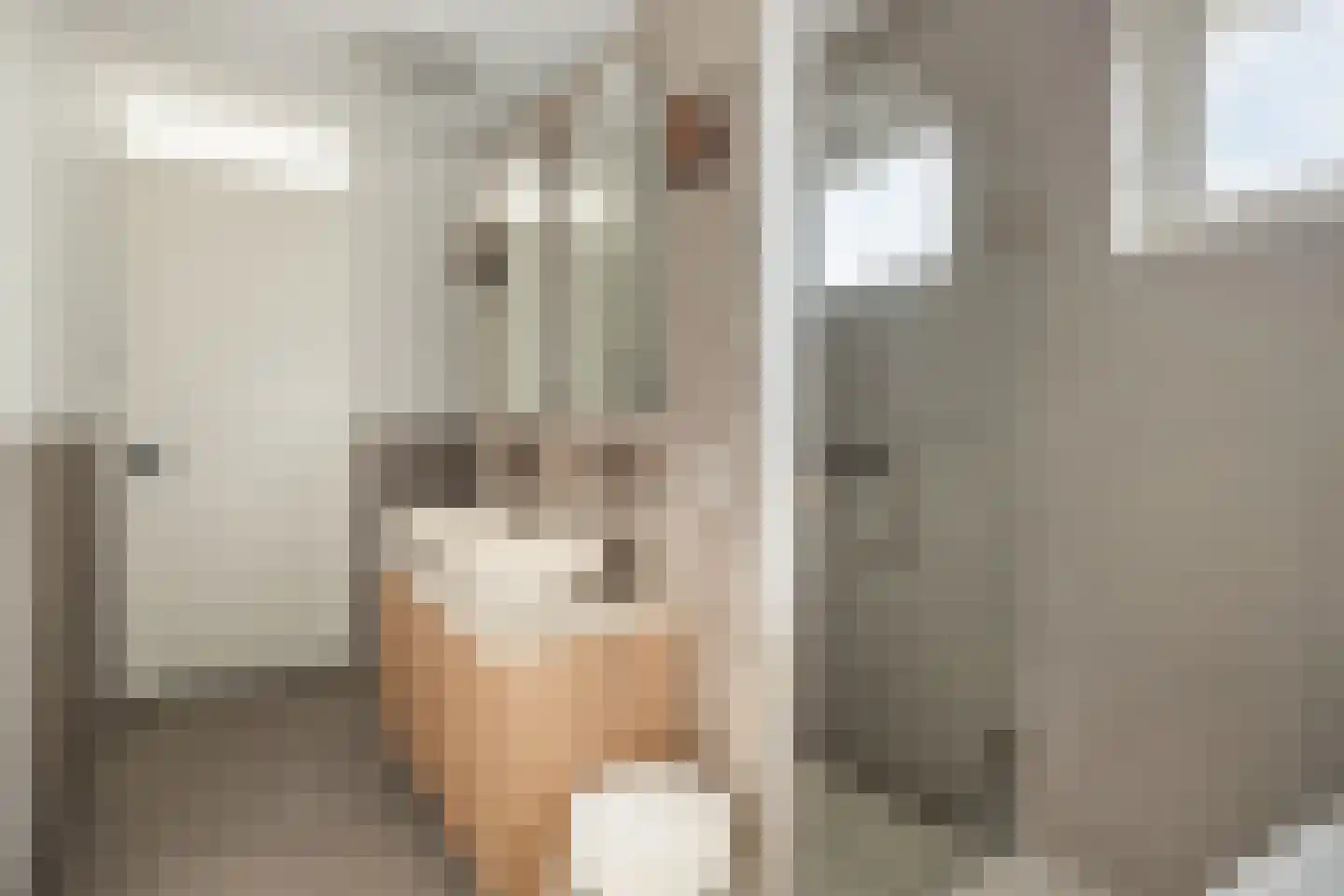 Boxbergen 13 Losser thumbnail 30