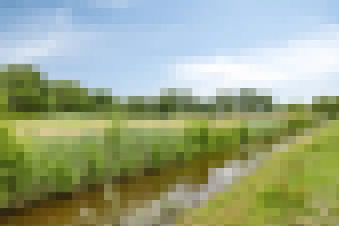 Boxbergen 13 Losser thumbnail 48