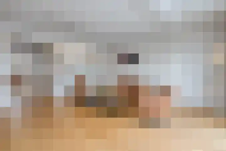 Boxbergenstraat 2 Zwolle thumbnail 12