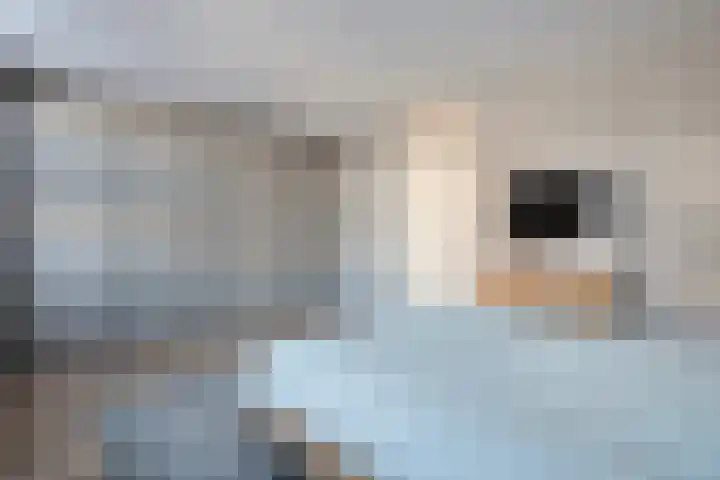 Boxbergenstraat 2 Zwolle thumbnail 21