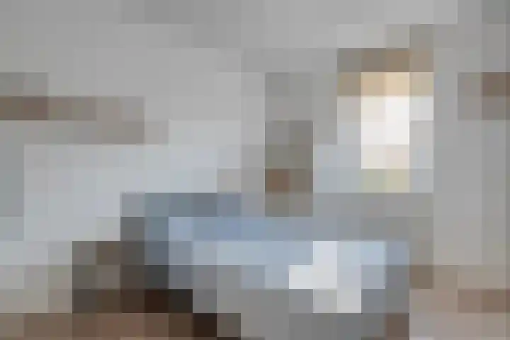 Boxbergenstraat 2 Zwolle thumbnail 22