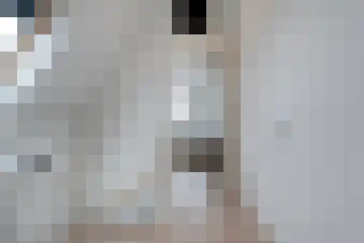 Boxbergenstraat 2 Zwolle thumbnail 35