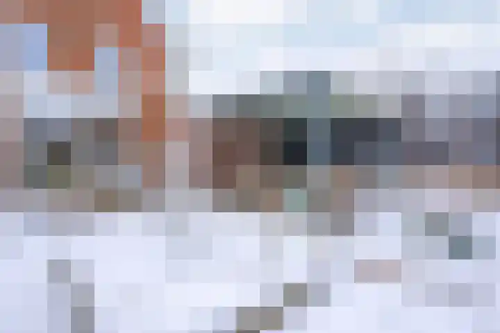 Boxbergenstraat 2 Zwolle thumbnail 38