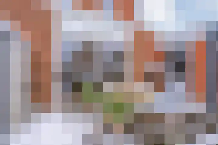 Boxbergenstraat 2 Zwolle thumbnail 43