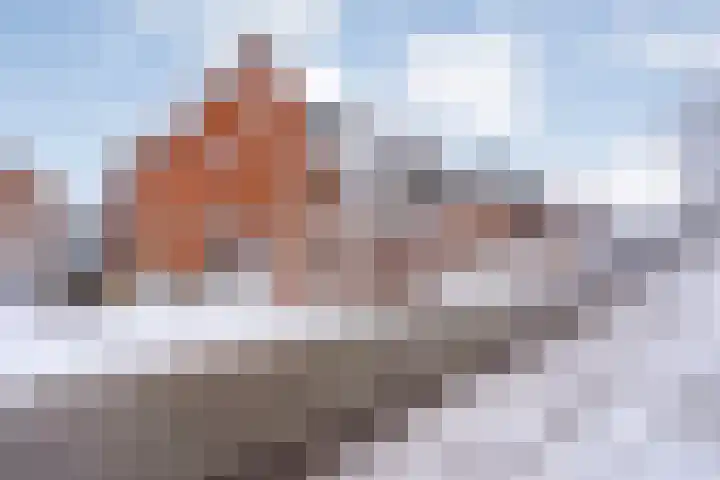 Boxbergenstraat 2 Zwolle thumbnail 45