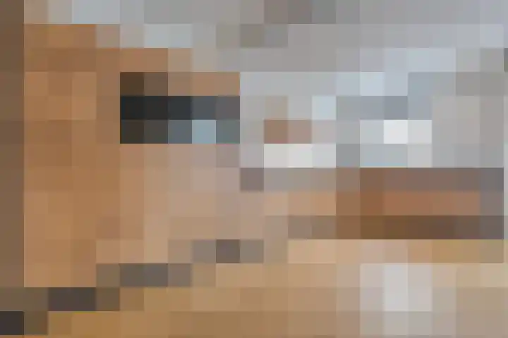 Boxbergenstraat 2 Zwolle thumbnail 5