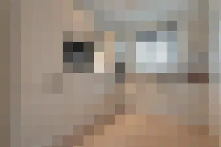 Boxbergenstraat 3 Zwolle thumbnail 10
