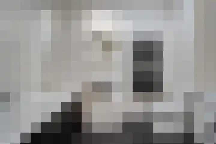 Boxbergenstraat 3 Zwolle thumbnail 23