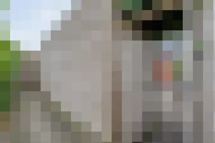 Boxbergenstraat 3 Zwolle thumbnail 31