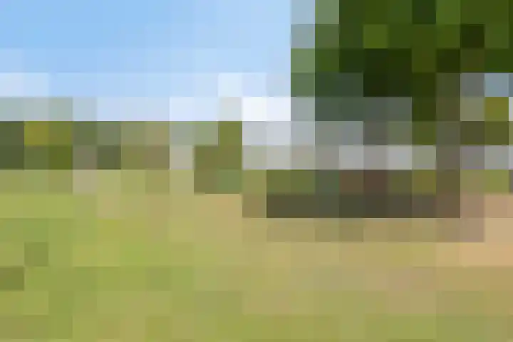Boxbergerweg 109 F 1 Deventer thumbnail 18