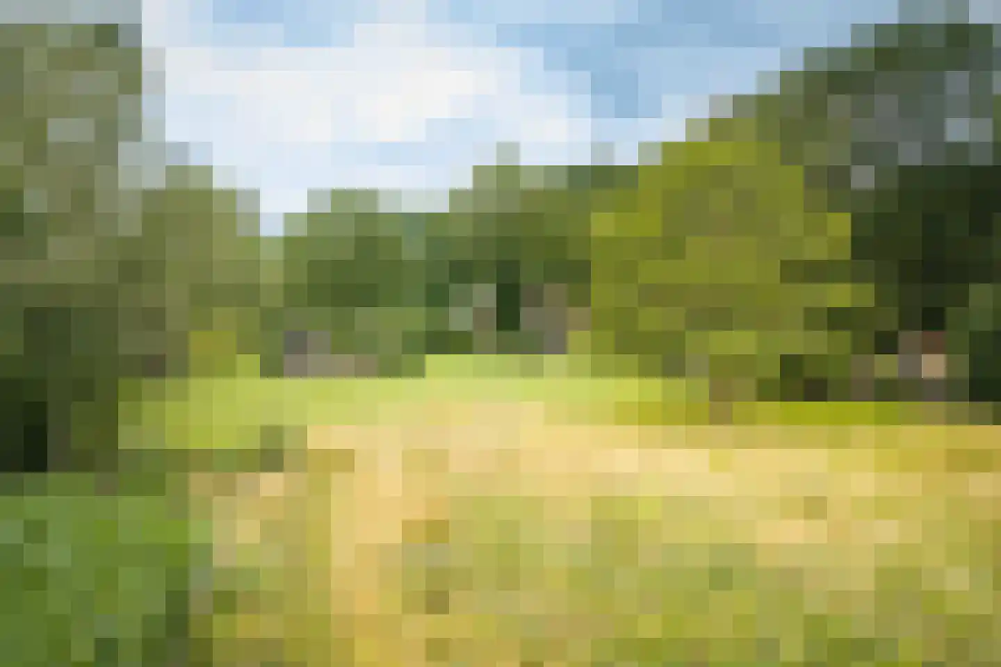 Boxbergerweg 18 Olst thumbnail 10