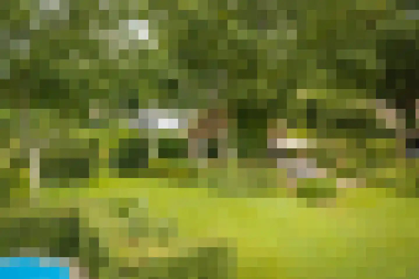 Boxbergerweg 18 Olst thumbnail 11